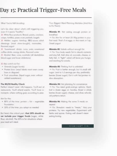 day 15 practical trigger free meals